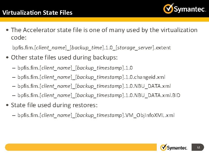 Virtualization State Files • The Accelerator state file is one of many used by