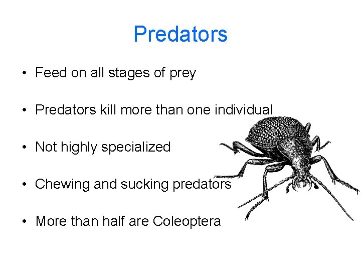 Predators • Feed on all stages of prey • Predators kill more than one