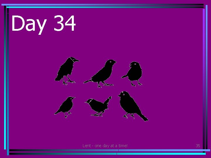 Day 34 • Find a way of helping wild birds around your home or