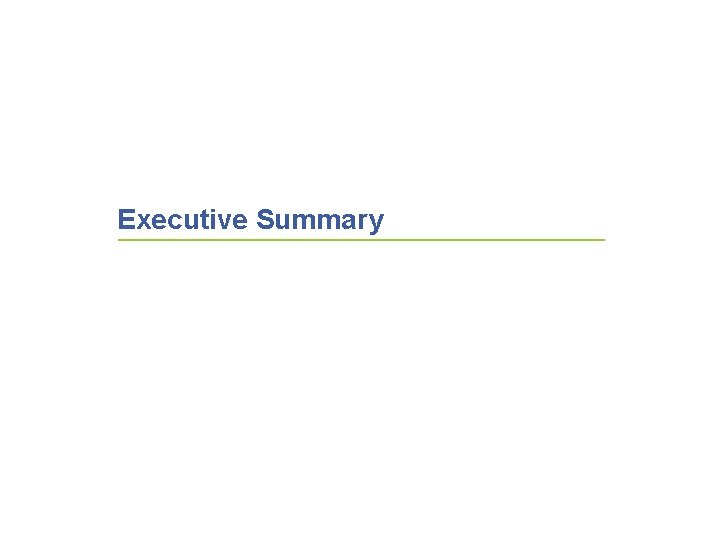 Executive Summary 