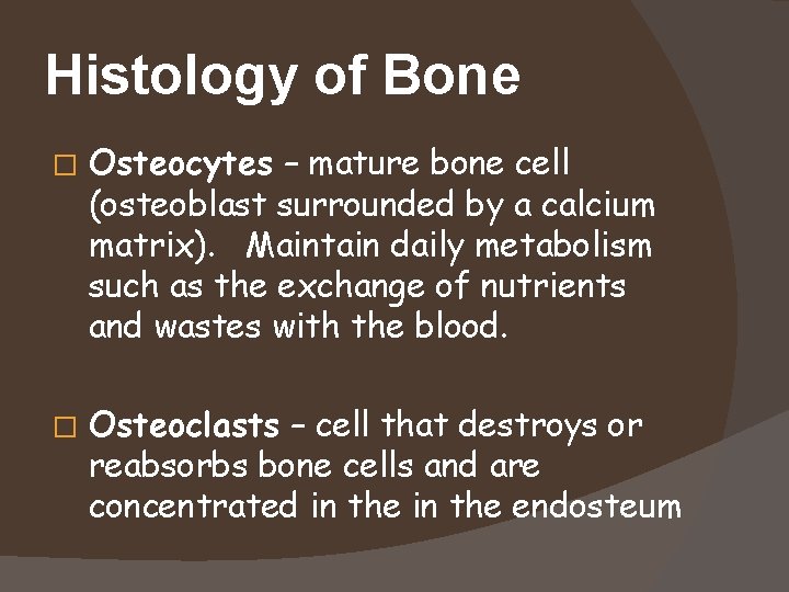 Histology of Bone � Osteocytes – mature bone cell (osteoblast surrounded by a calcium