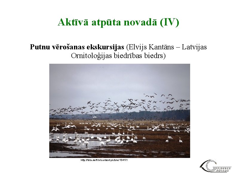 Aktīvā atpūta novadā (IV) Putnu vērošanas ekskursijas (Elvijs Kantāns – Latvijas Ornitoloģijas biedrības biedrs)