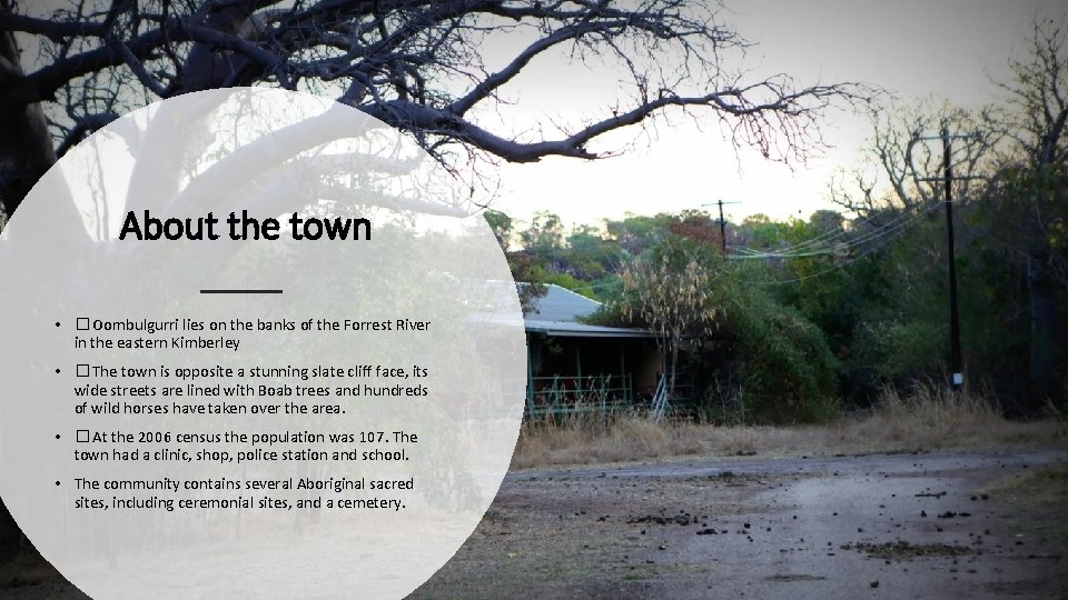 About the town • �Oombulgurri lies on the banks of the Forrest River in