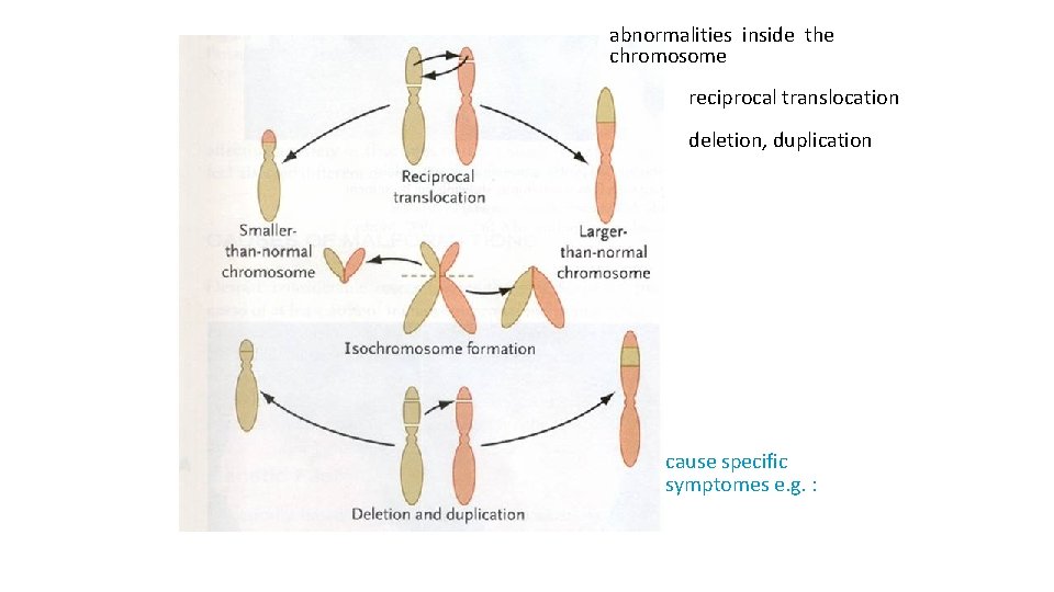 abnormalities inside the chromosome reciprocal translocation deletion, duplication cause specific symptomes e. g. :
