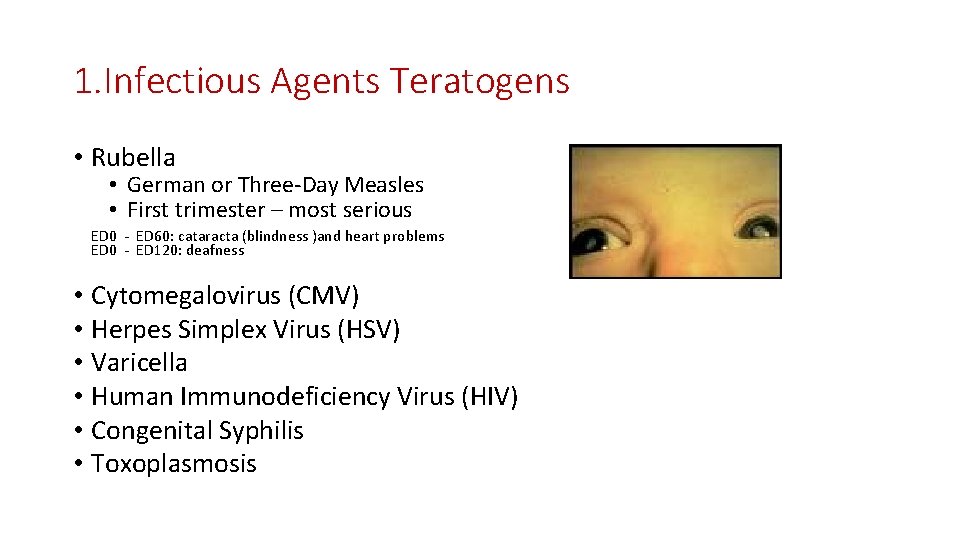 1. Infectious Agents Teratogens • Rubella • German or Three-Day Measles • First trimester