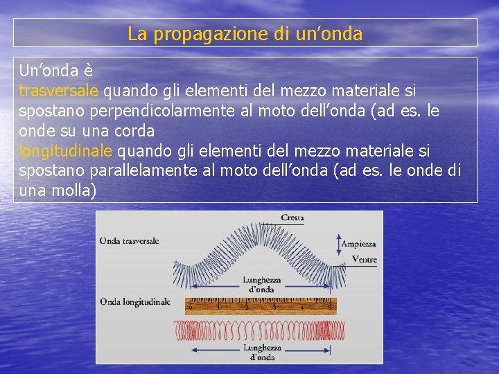 La propagazione di un’onda Un’onda è trasversale quando gli elementi del mezzo materiale si