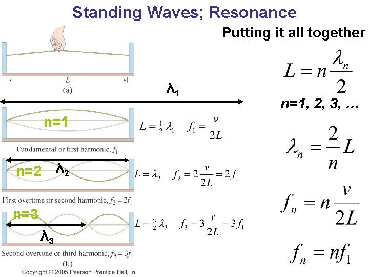 Standing Waves; Resonance Putting it all together λ 1 n=2 n=3 λ 2 n=1,