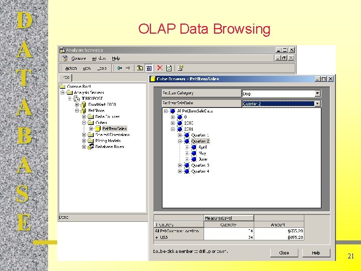 D A T A B A S E OLAP Data Browsing 21 