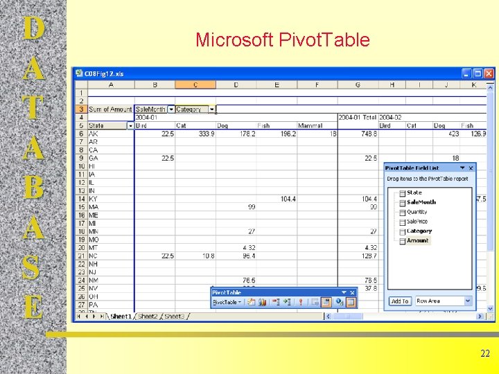 D A T A B A S E Microsoft Pivot. Table 22 