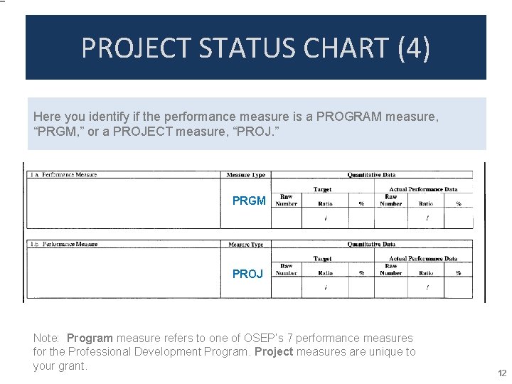 PROJECT STATUS CHART (4) Here you identify if the performance measure is a PROGRAM