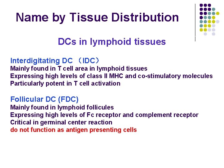 Name by Tissue Distribution DCs in lymphoid tissues Interdigitating DC (IDC) Mainly found in Name by Tissue Distribution DCs in lymphoid tissues Interdigitating DC (IDC) Mainly found in