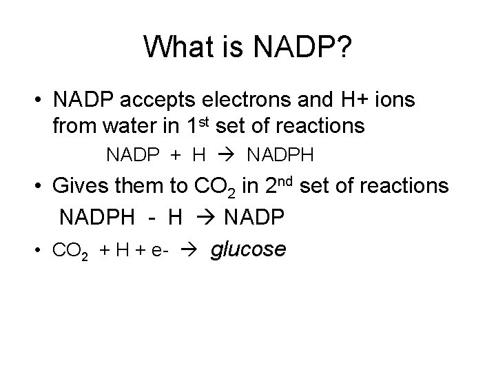 What is NADP? • NADP accepts electrons and H+ ions from water in 1