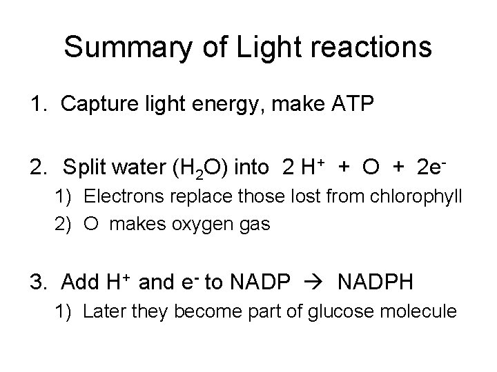 Summary of Light reactions 1. Capture light energy, make ATP 2. Split water (H