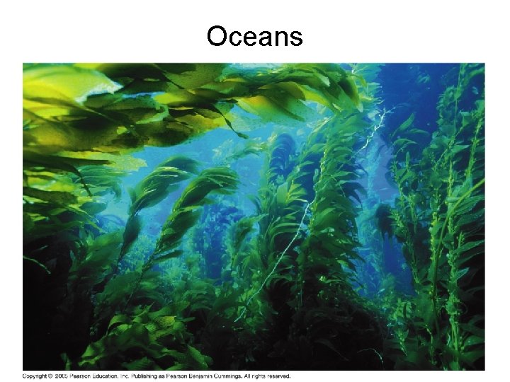 Oceans 