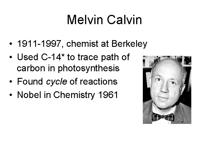 Melvin Calvin • 1911 -1997, chemist at Berkeley • Used C-14* to trace path