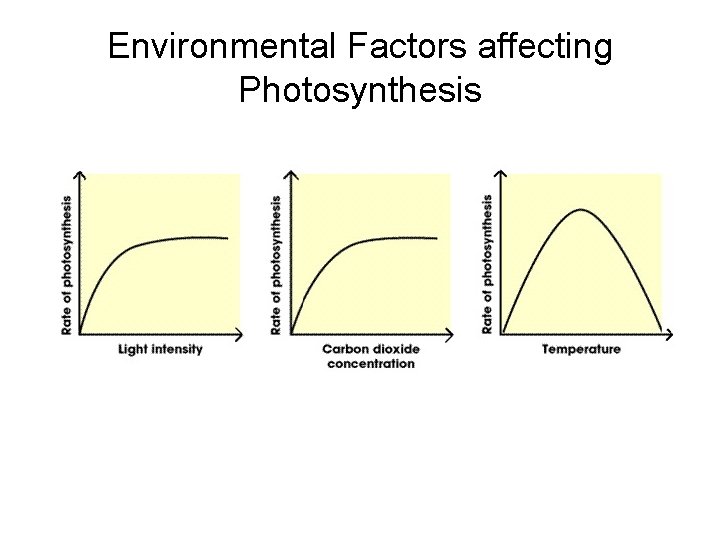 Environmental Factors affecting Photosynthesis 