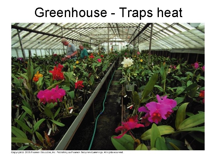 Greenhouse - Traps heat indoors 
