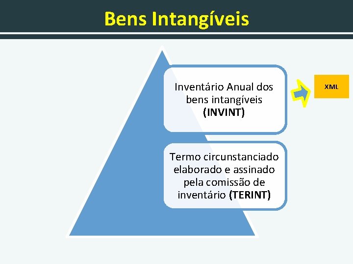 Bens Intangíveis Inventário Anual dos bens intangíveis (INVINT) Termo circunstanciado elaborado e assinado pela