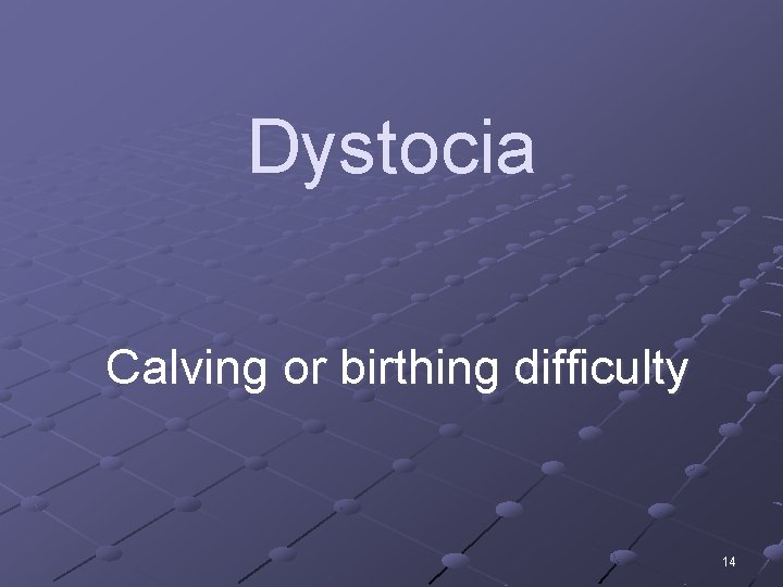 Dystocia Calving or birthing difficulty 14 