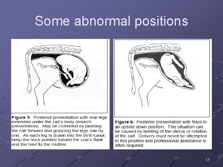 Some abnormal positions 17 