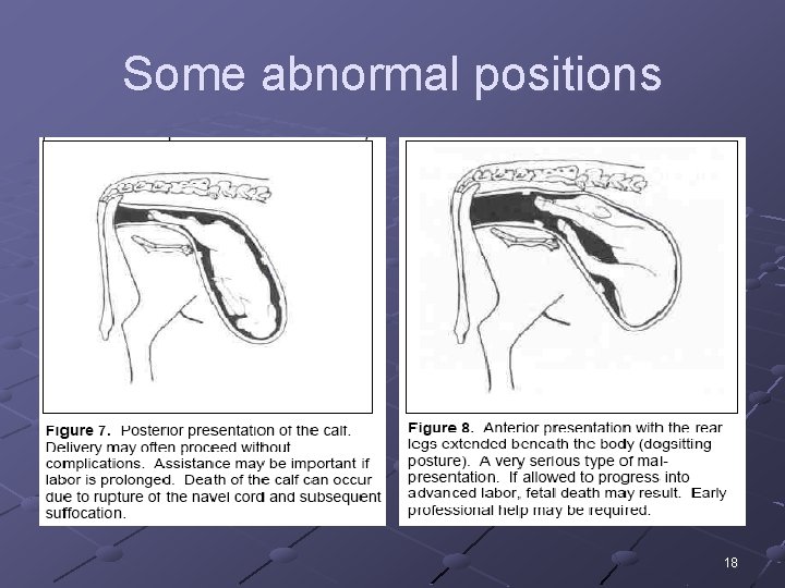 Some abnormal positions 18 