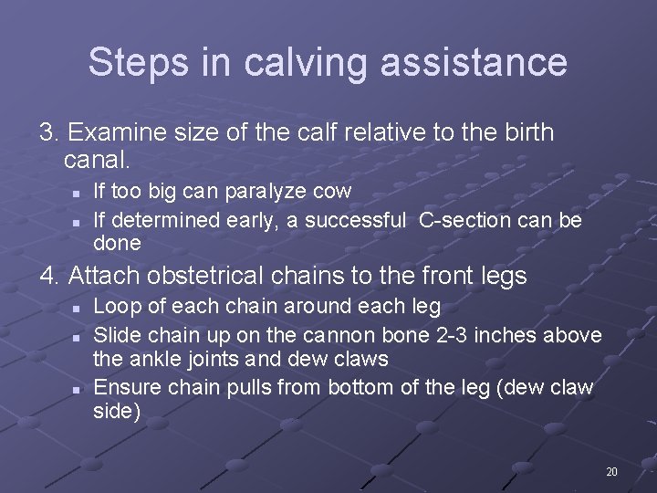Steps in calving assistance 3. Examine size of the calf relative to the birth