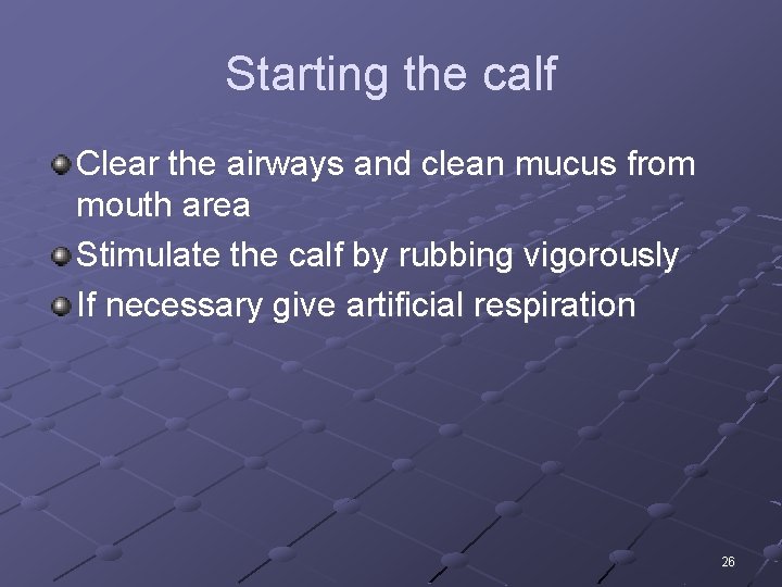 Starting the calf Clear the airways and clean mucus from mouth area Stimulate the