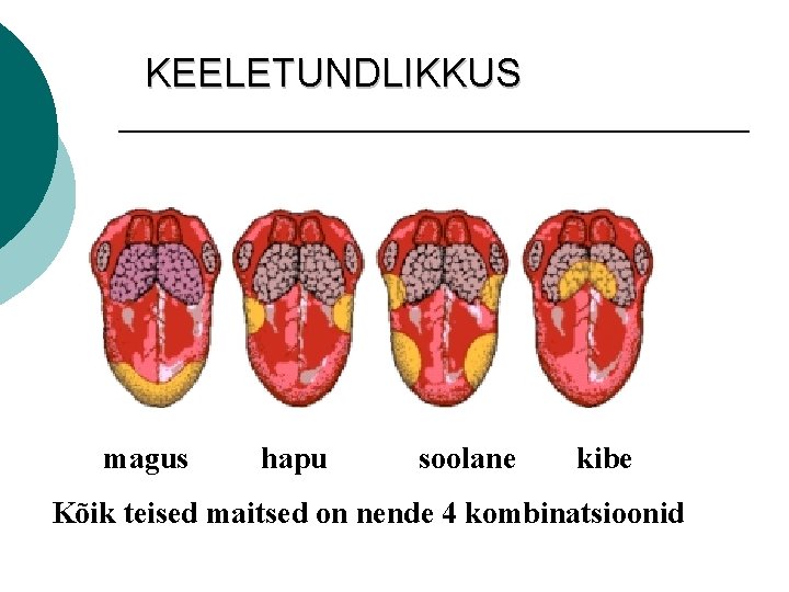 KEELETUNDLIKKUS magus hapu soolane kibe Kõik teised maitsed on nende 4 kombinatsioonid 