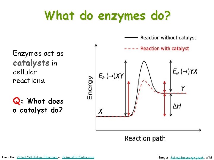 About Science Prof Online Power Point Resources Science