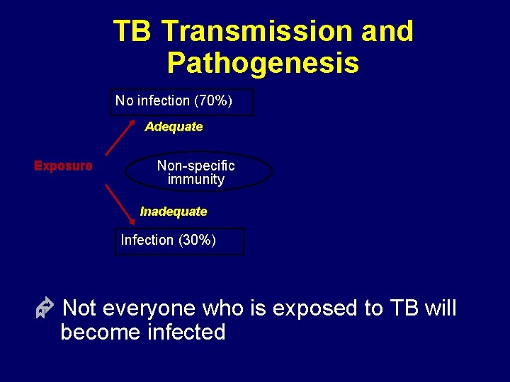 TB Transmission and Pathogenesis No infection (70%) Adequate Exposure Non-specific immunity Inadequate Infection (30%)