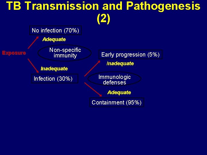 TB Transmission and Pathogenesis (2) No infection (70%) Adequate Exposure Non-specific immunity Inadequate Infection