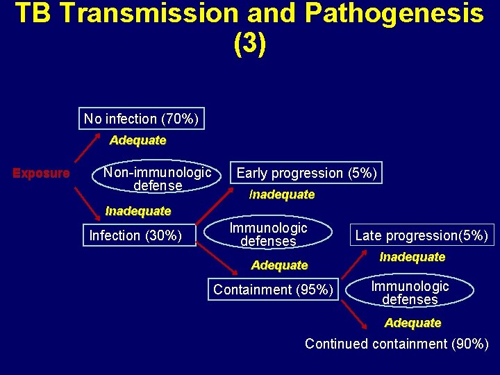 TB Transmission and Pathogenesis (3) No infection (70%) Adequate Exposure Non-immunologic defense Early progression