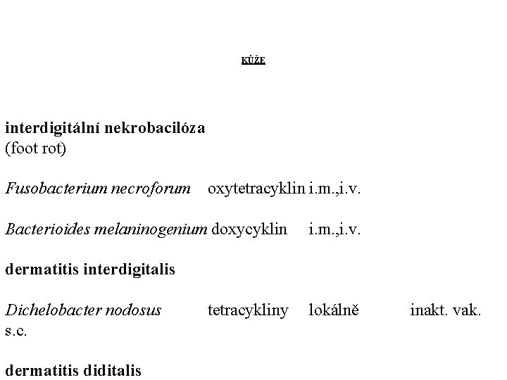 KŮŽE interdigitální nekrobacilóza (foot rot) Fusobacterium necroforum oxytetracyklin i. m. , i. v. Bacterioides