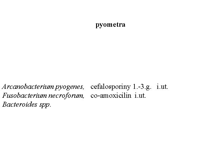 pyometra Arcanobacterium pyogenes, cefalosporiny 1. -3. g. i. ut. Fusobacterium necroforum, co-amoxicilin i. ut.