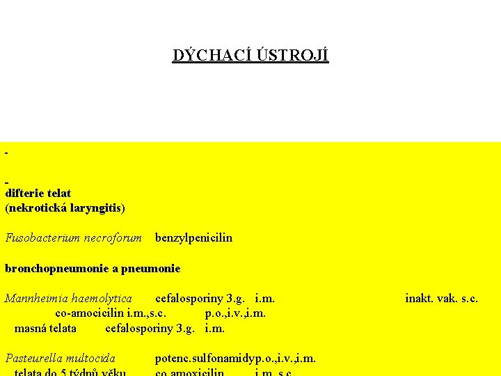 DÝCHACÍ ÚSTROJÍ difterie telat (nekrotická laryngitis) Fusobacterium necroforum benzylpenicilin bronchopneumonie a pneumonie Mannheimia haemolytica