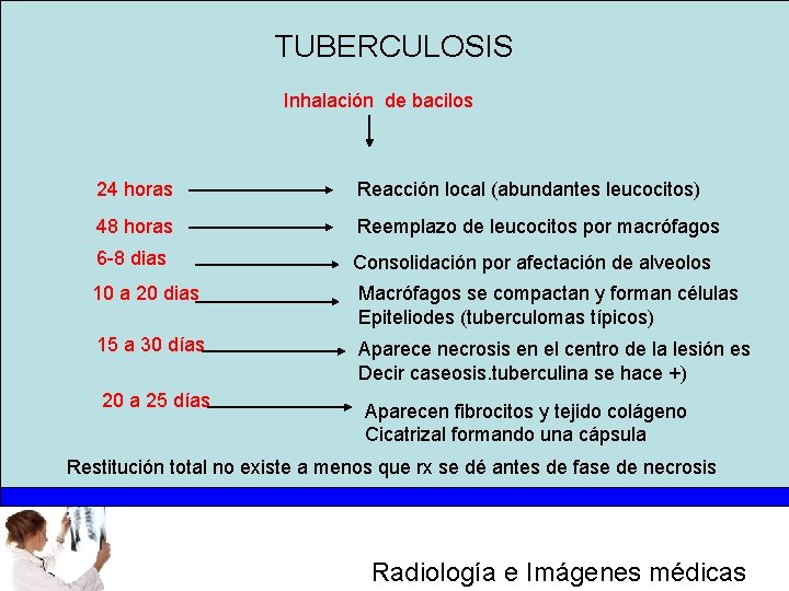 TUBERCULOSIS Inhalación de bacilos 24 horas Reacción local (abundantes leucocitos) 48 horas Reemplazo de