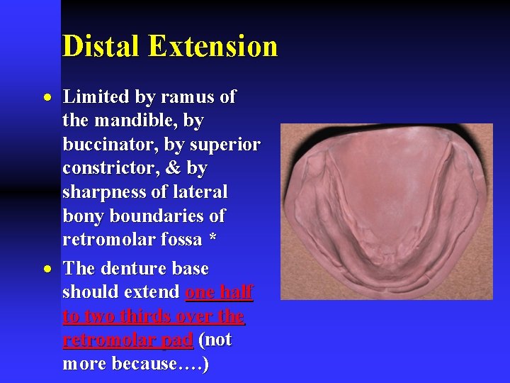 Distal Extension · Limited by ramus of the mandible, by buccinator, by superior constrictor,