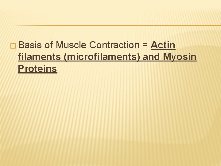 � Basis of Muscle Contraction = Actin filaments (microfilaments) and Myosin Proteins 