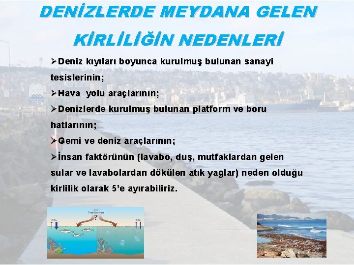 DENİZLERDE MEYDANA GELEN KİRLİLİĞİN NEDENLERİ Ø Deniz kıyıları boyunca kurulmuş bulunan sanayi tesislerinin; Ø