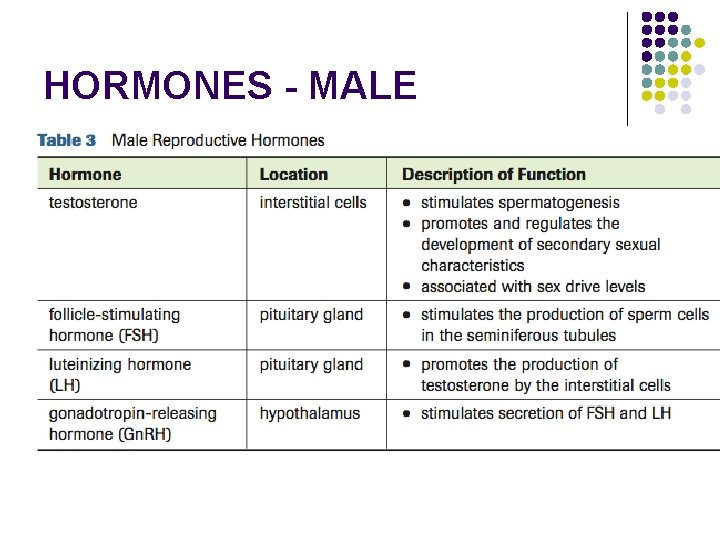 HORMONES - MALE 
