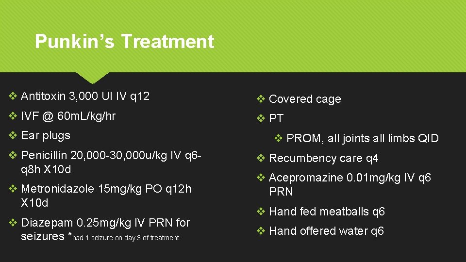 Punkin’s Treatment v Antitoxin 3, 000 UI IV q 12 v Covered cage v