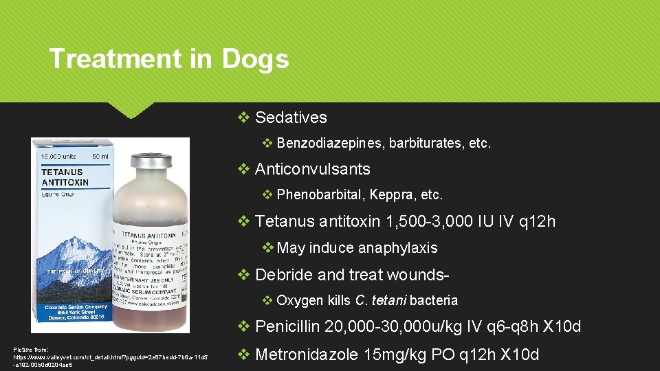 Treatment in Dogs v Sedatives v Benzodiazepines, barbiturates, etc. v Anticonvulsants v Phenobarbital, Keppra,