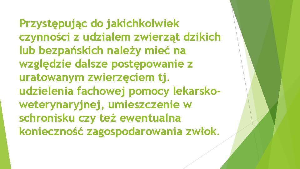 Przystępując do jakichkolwiek czynności z udziałem zwierząt dzikich lub bezpańskich należy mieć na względzie