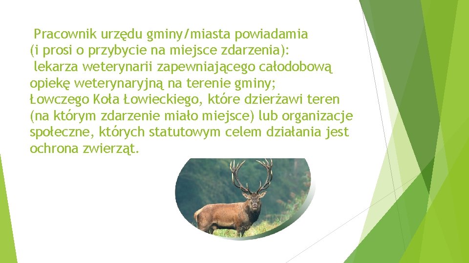 Pracownik urzędu gminy/miasta powiadamia (i prosi o przybycie na miejsce zdarzenia): lekarza weterynarii zapewniającego