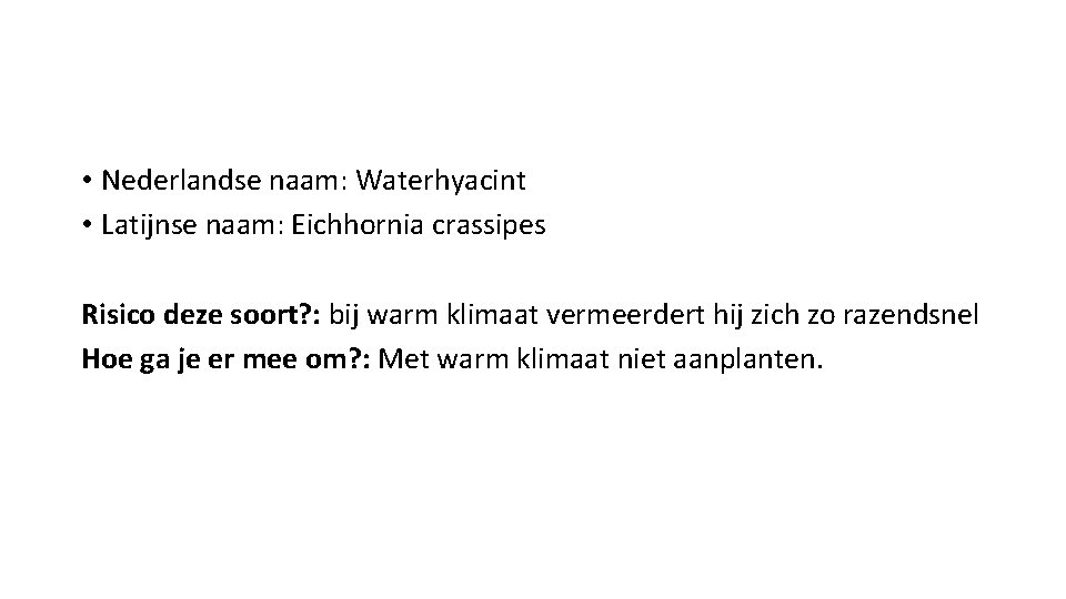  • Nederlandse naam: Waterhyacint • Latijnse naam: Eichhornia crassipes Risico deze soort? :