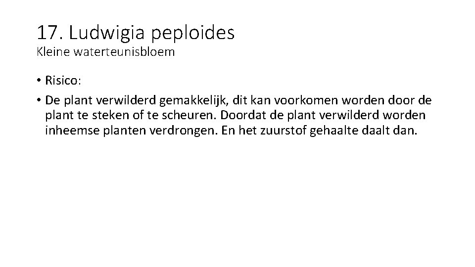 17. Ludwigia peploides Kleine waterteunisbloem • Risico: • De plant verwilderd gemakkelijk, dit kan
