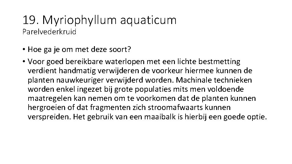 19. Myriophyllum aquaticum Parelvederkruid • Hoe ga je om met deze soort? • Voor
