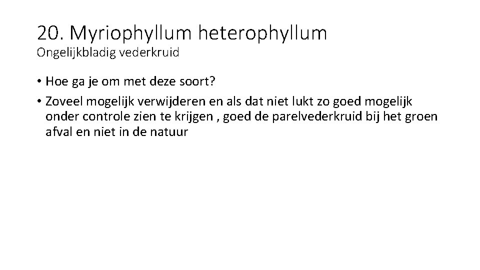 20. Myriophyllum heterophyllum Ongelijkbladig vederkruid • Hoe ga je om met deze soort? •