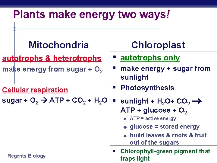 Plants make energy two ways! Mitochondria Chloroplast autotrophs & heterotrophs § autotrophs only make