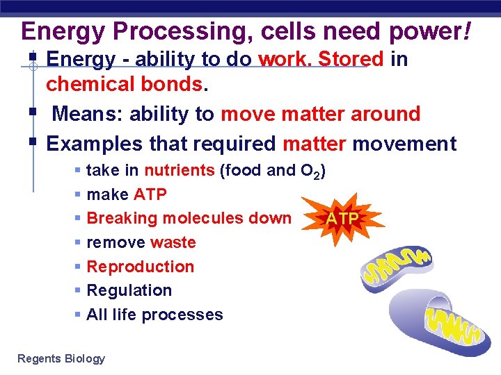 Energy Processing, cells need power! § Energy - ability to do work. Stored in